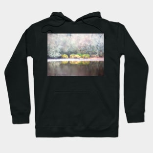 Grass reflected in a lake 1 Hoodie
